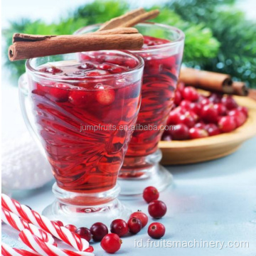 Jalur pemrosesan cranberry otomatis